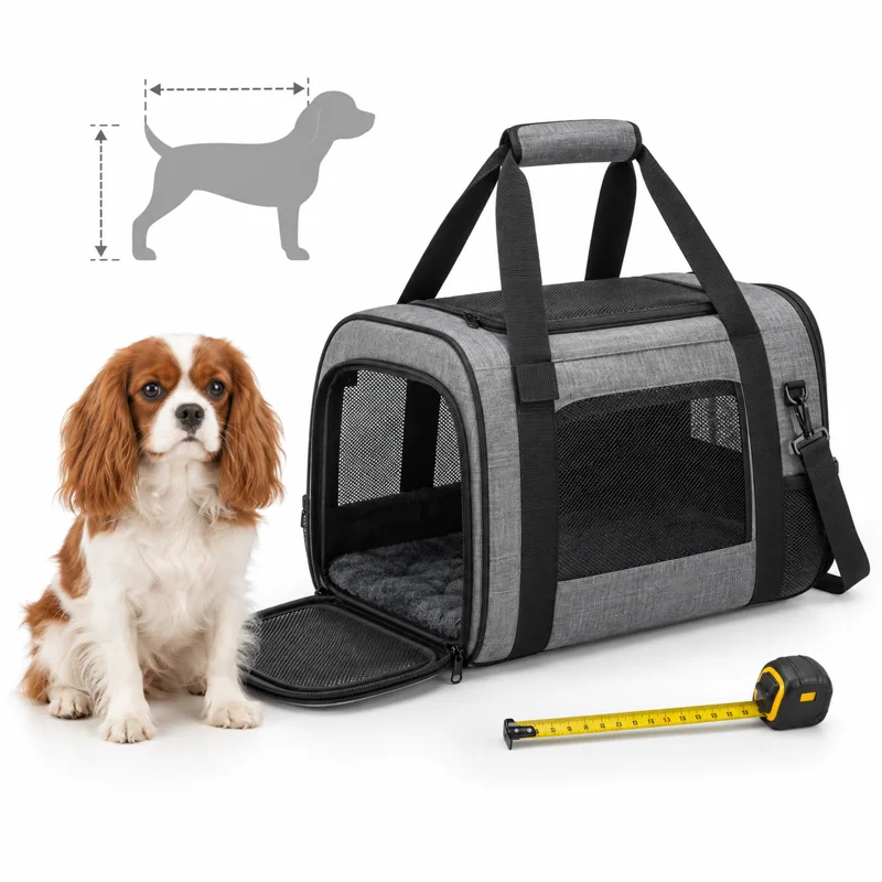 AI-generated illustration representing Pet carriers