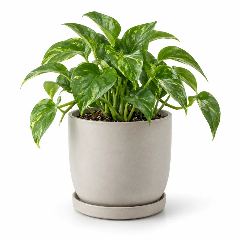 AI-generated illustration representing Plant pots
